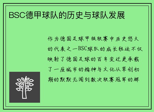 BSC德甲球队的历史与球队发展