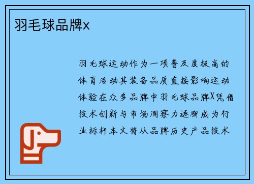 羽毛球品牌x